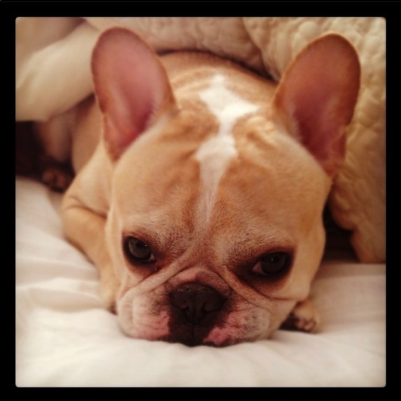 Meet your Posher, Nigel - Picture 1 of 1